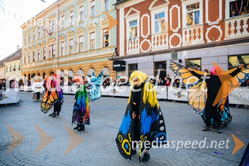 60. Mednarodna karnevalska povorka