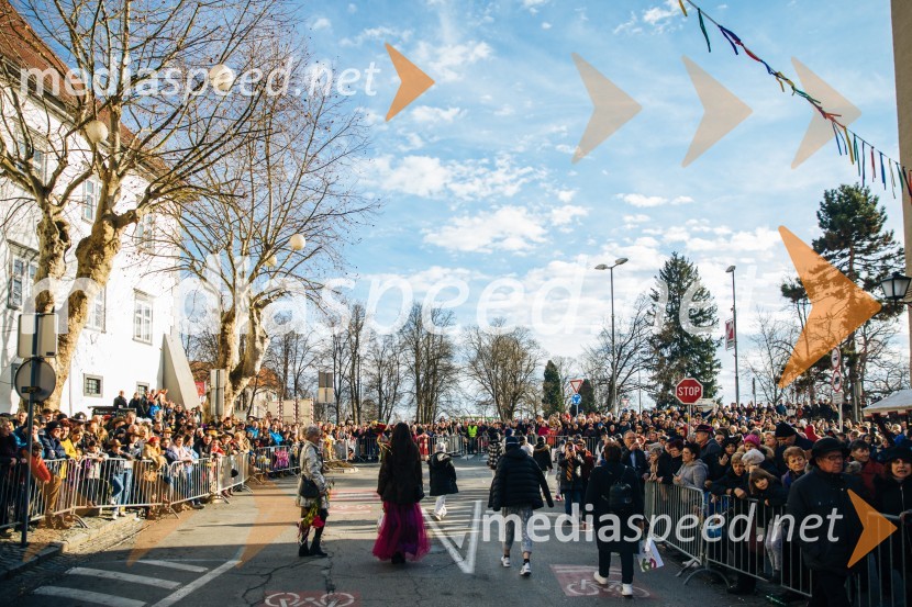 60. Mednarodna karnevalska povorka