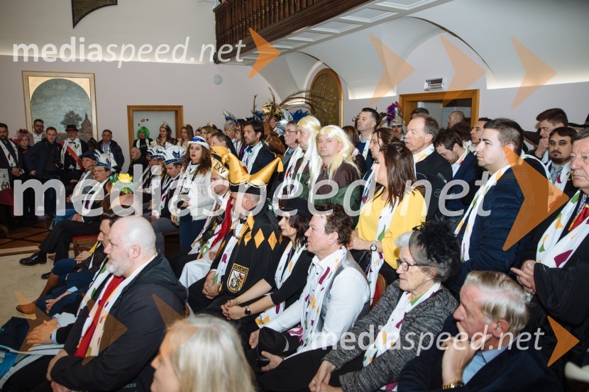 60. Mednarodna karnevalska povorka