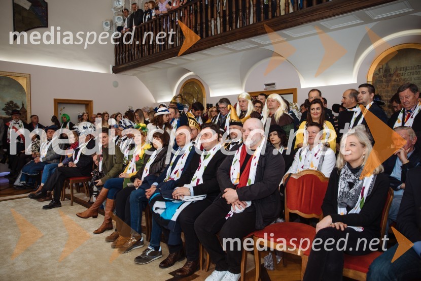 60. Mednarodna karnevalska povorka