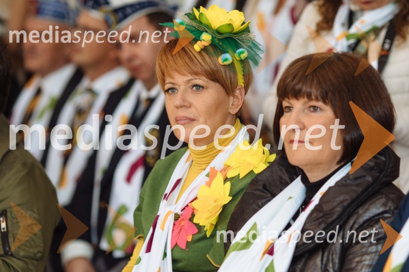 60. Mednarodna karnevalska povorka