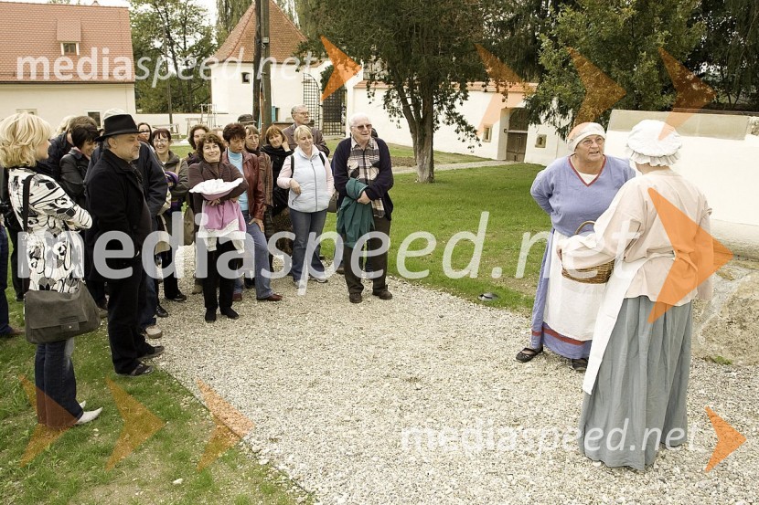 Slovenski pisatelji in grajski dekliSlovenski pisatelji v Negovi