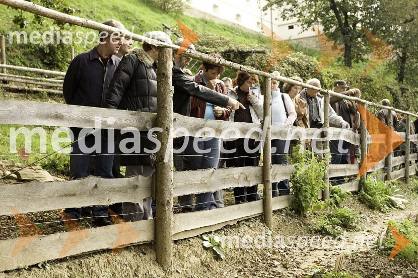 Slovenski pisatelji v Zeliščnem parkuSlovenski pisatelji v Negovi