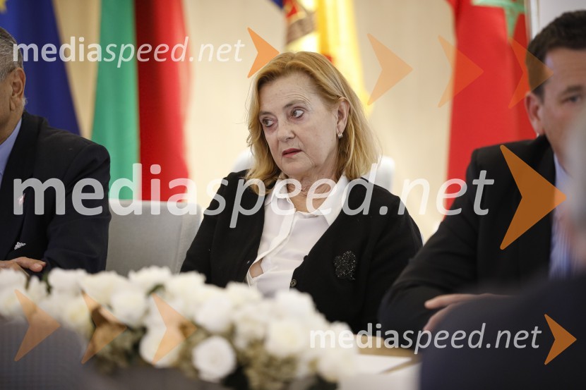 Zasedanje skupščine društva Slovenski konzularni zbor