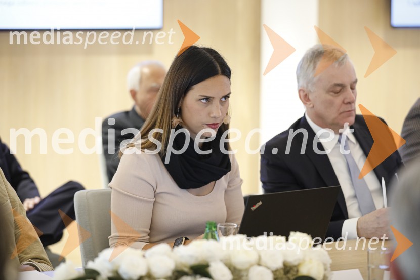  Mojca Marinšek, Riko d.o.o.Zasedanje skupščine društva Slovenski konzularni zbor