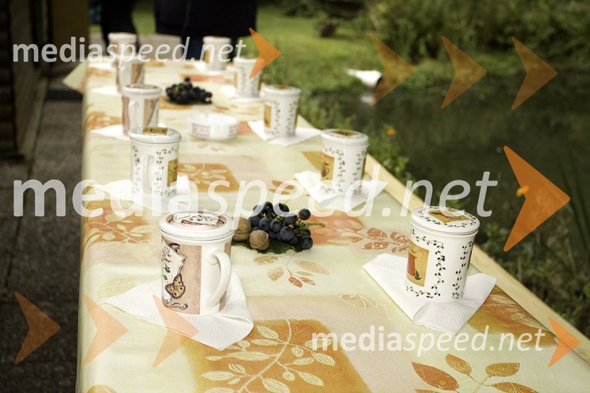 Čaj za pisateljeSlovenski pisatelji v Negovi