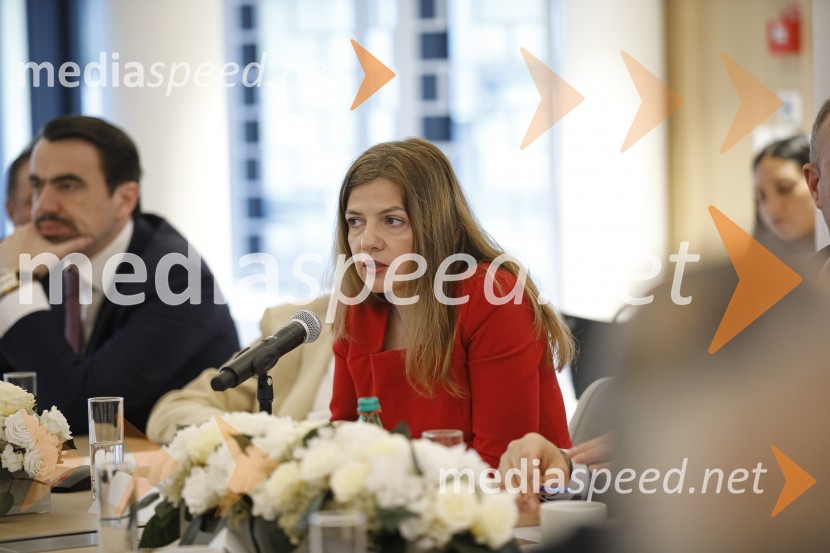 mag. Sonja  Šmuc, generalna direktorica Gospodarske zbornice SlovenijeZasedanje skupščine društva Slovenski konzularni zbor