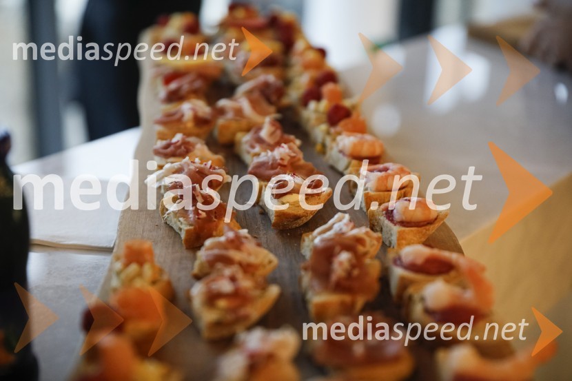 Zasedanje skupščine društva Slovenski konzularni zbor