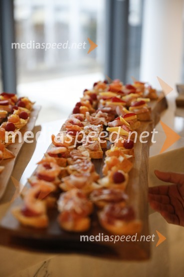 Zasedanje skupščine društva Slovenski konzularni zbor