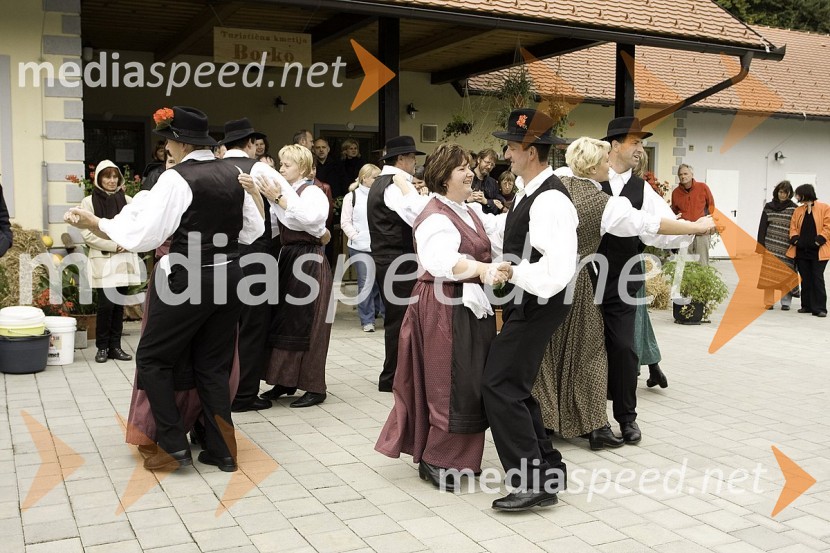 Folklorna skupina iz Gornje RadgoneSlovenski pisatelji v Negovi