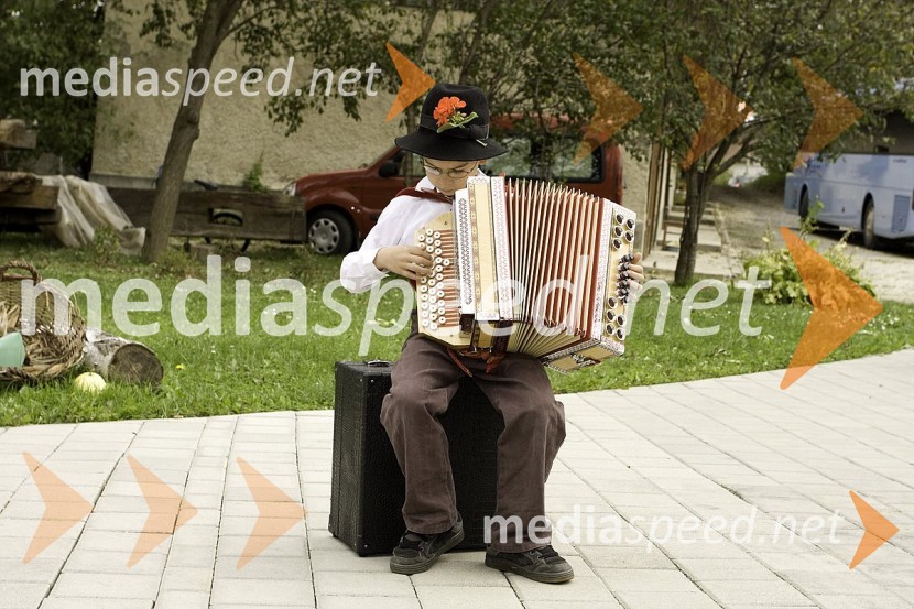 Mladi harmonikašSlovenski pisatelji v Negovi