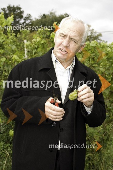 Tone Dodlek, pisateljSlovenski pisatelji v Negovi