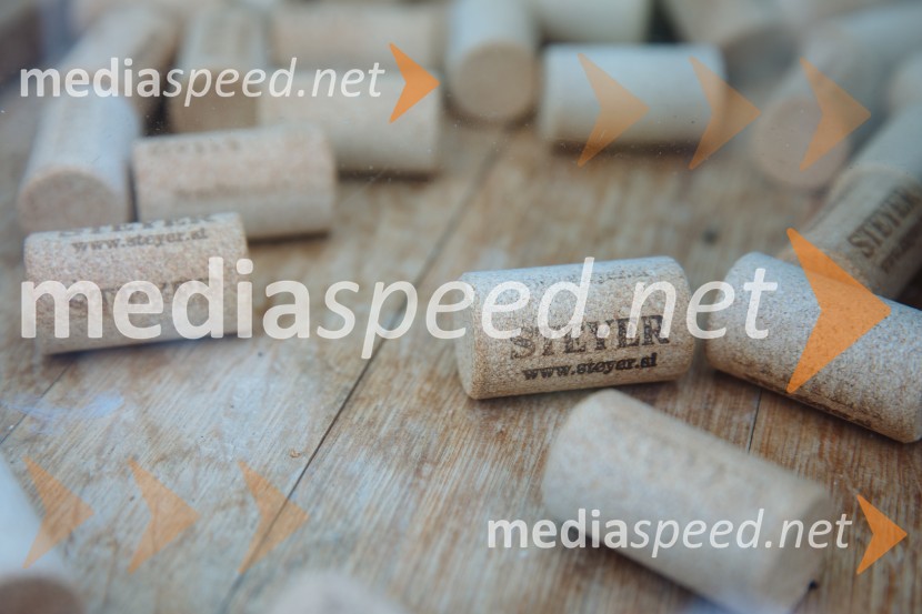 5. Tradicionalna Smolčkova trgatev naravno sušenega grozdja za vino Steyer