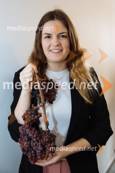  Vaneja Steyer, Steyer Vina5. Tradicionalna Smolčkova trgatev naravno sušenega grozdja za vino Steyer