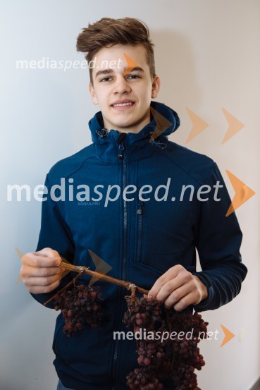  Mark Steyer, Steyer Vina5. Tradicionalna Smolčkova trgatev naravno sušenega grozdja za vino Steyer