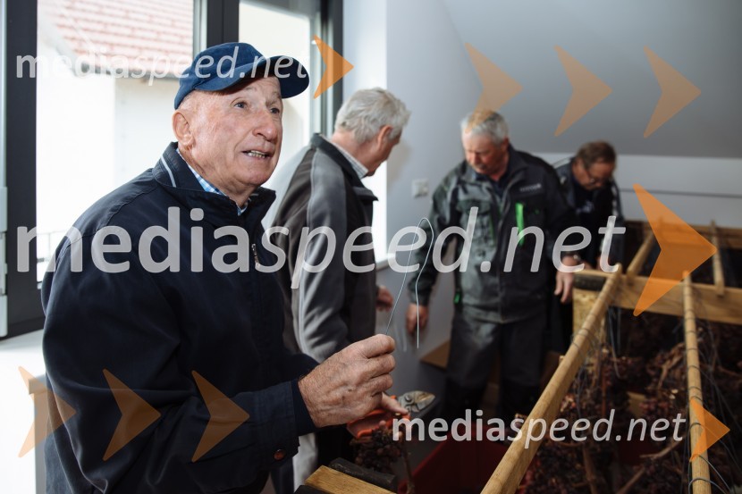  Jožef Steyer, Steyer Vina5. Tradicionalna Smolčkova trgatev naravno sušenega grozdja za vino Steyer