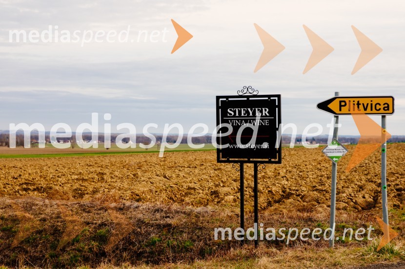 5. Tradicionalna Smolčkova trgatev naravno sušenega grozdja za vino Steyer