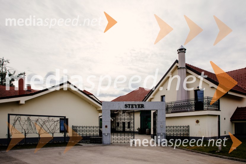 5. Tradicionalna Smolčkova trgatev naravno sušenega grozdja za vino Steyer