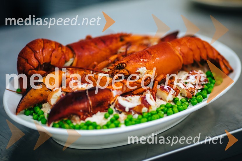 Kruh in vino, Tomaž Kavčič in Petar Grašo na posestvu Steyer