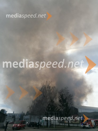 V Mariboru gori Surovina