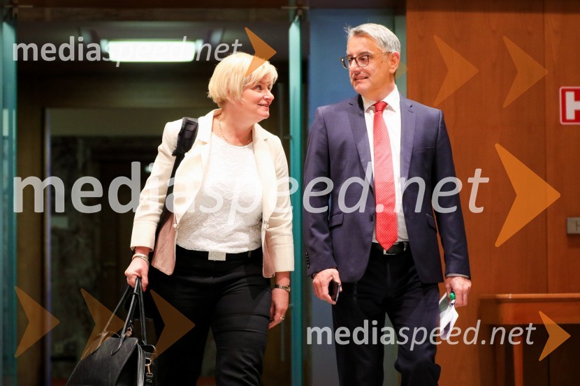  ... ;  Matjaž Han, poslanec SDNadaljevanje seje Državnega zbora