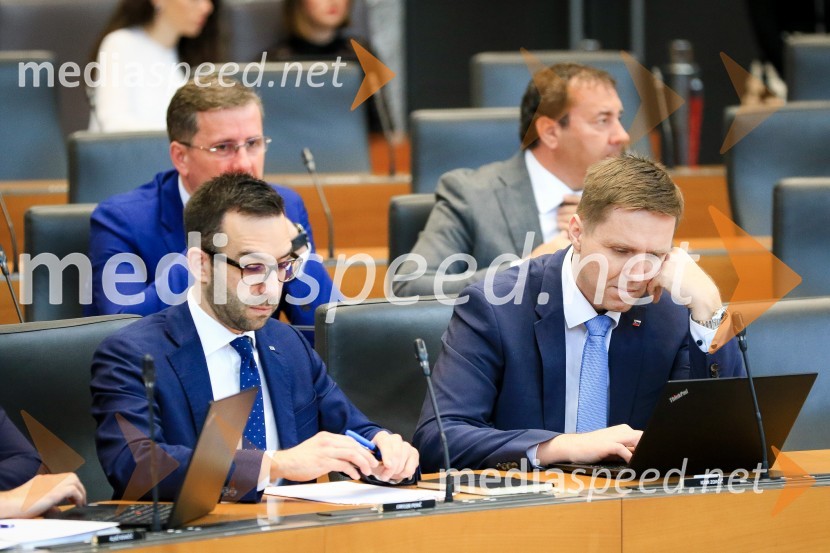 Nadaljevanje seje Državnega zbora