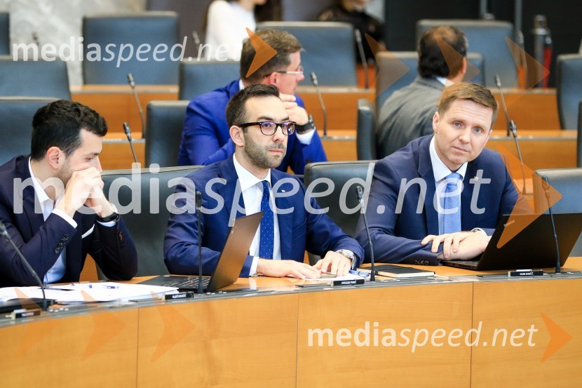 Nadaljevanje seje Državnega zbora