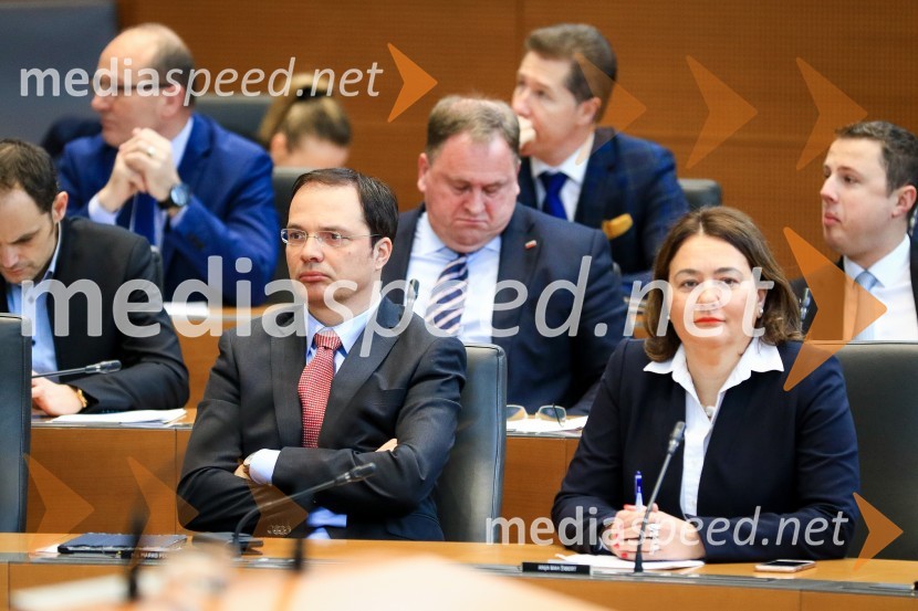 Nadaljevanje seje Državnega zbora