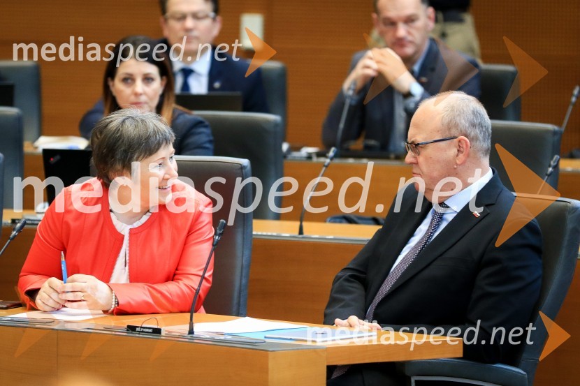 Nadaljevanje seje Državnega zbora