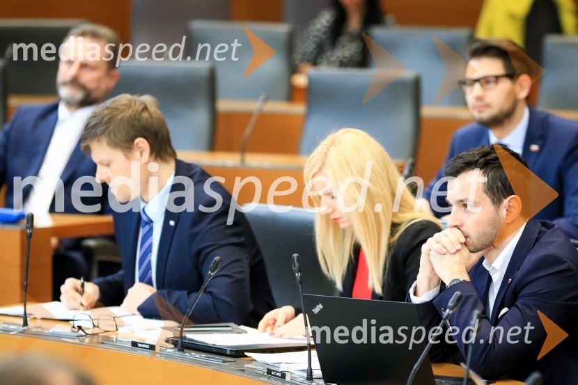 Nadaljevanje seje Državnega zbora