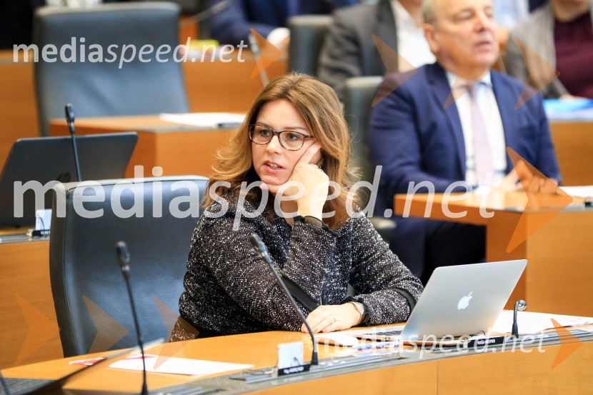  Maša Kociper, poslanka, podpredsednica SABNadaljevanje seje Državnega zbora