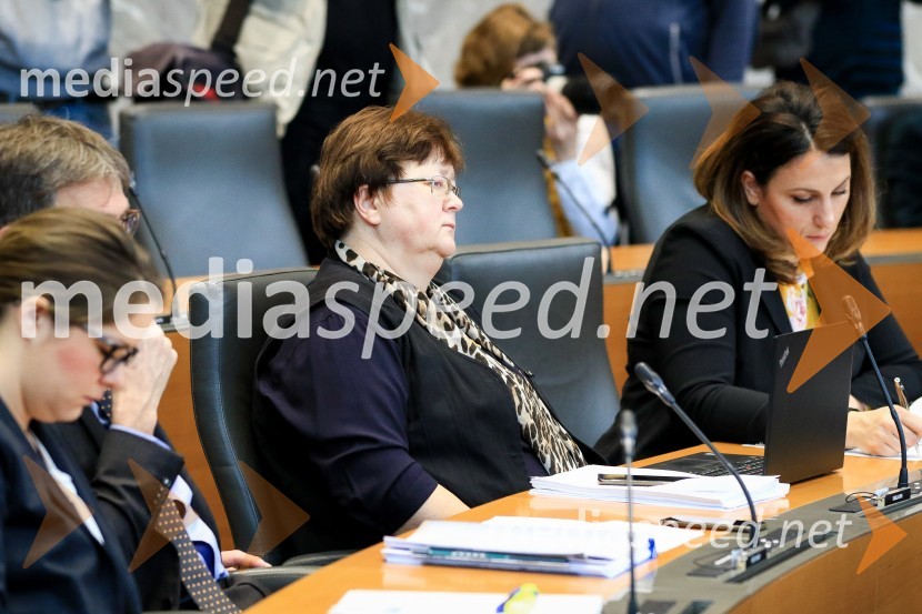 Nadaljevanje seje Državnega zbora