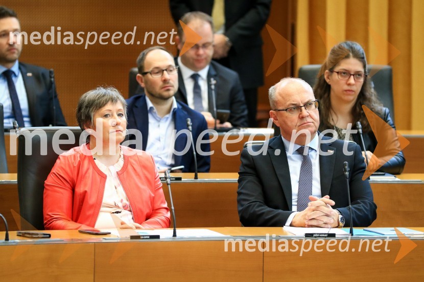 Nadaljevanje seje Državnega zbora