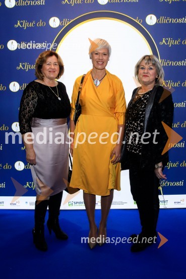 Podelitev priznanja RS za poslovno odličnost