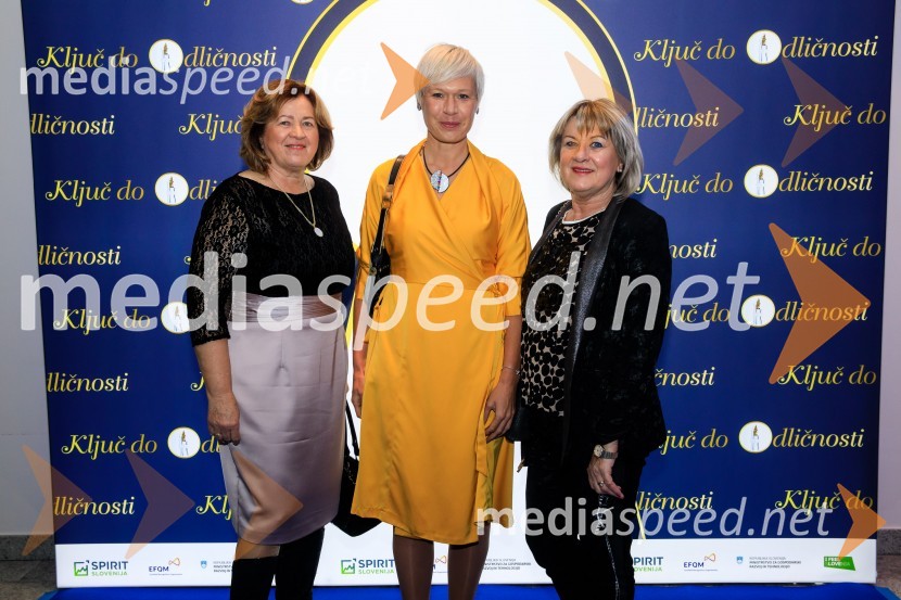 Podelitev priznanja RS za poslovno odličnost