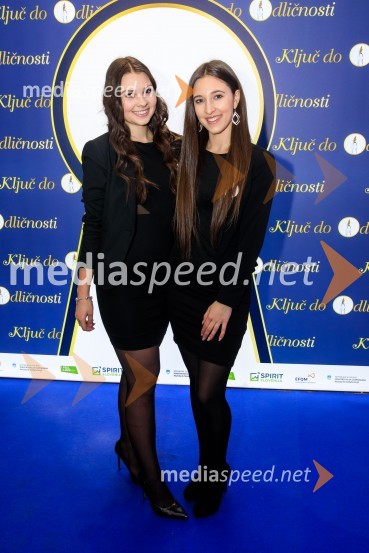 Podelitev priznanja RS za poslovno odličnost