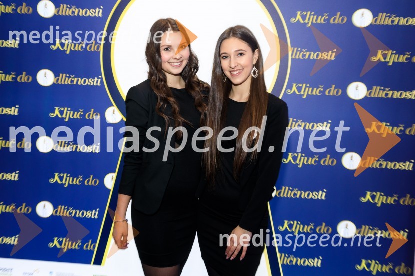 Podelitev priznanja RS za poslovno odličnost