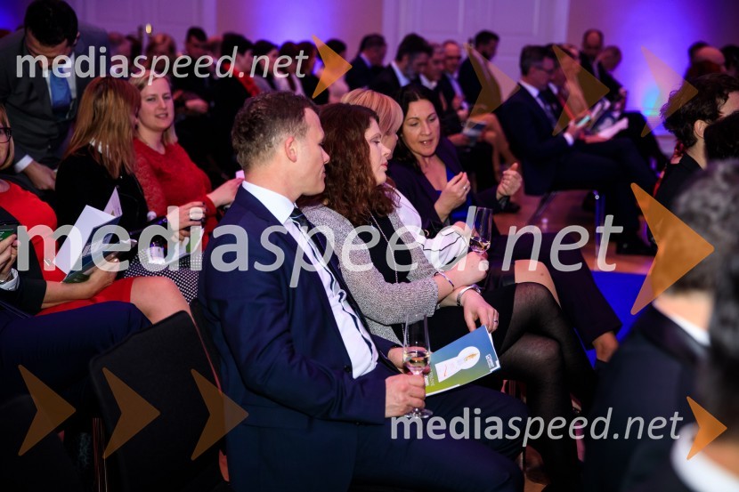 Podelitev priznanja RS za poslovno odličnost