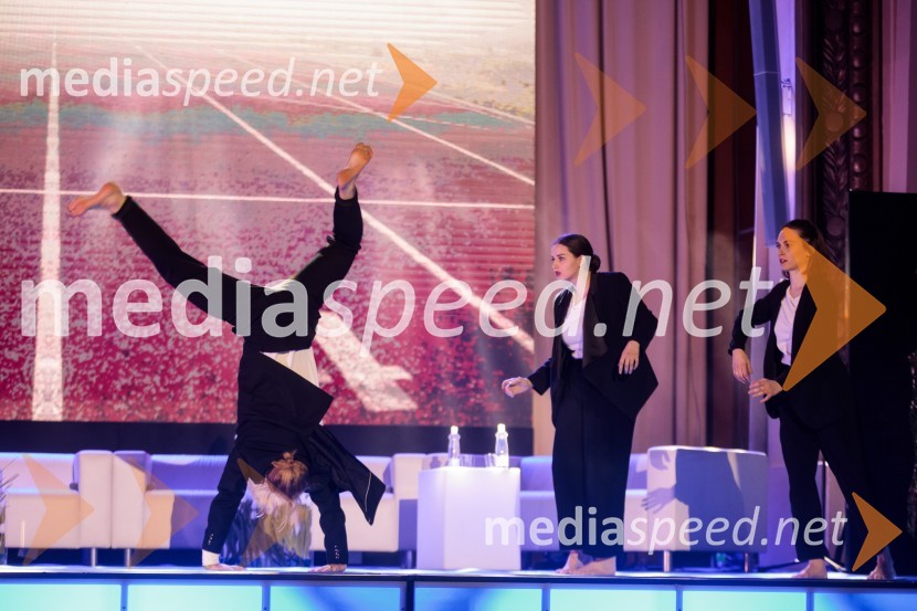 Podelitev priznanja RS za poslovno odličnost