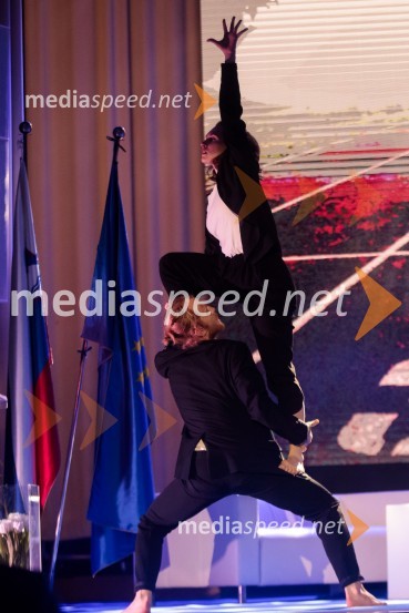 Podelitev priznanja RS za poslovno odličnost