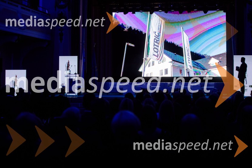 Podelitev priznanja RS za poslovno odličnost