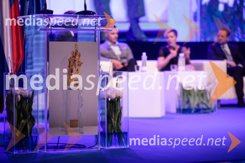 Podelitev priznanja RS za poslovno odličnost