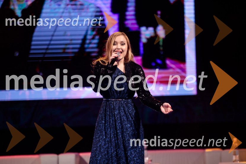 Podelitev priznanja RS za poslovno odličnost