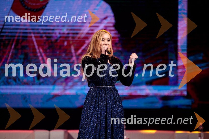 Podelitev priznanja RS za poslovno odličnost