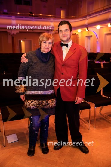 Podelitev priznanja RS za poslovno odličnost