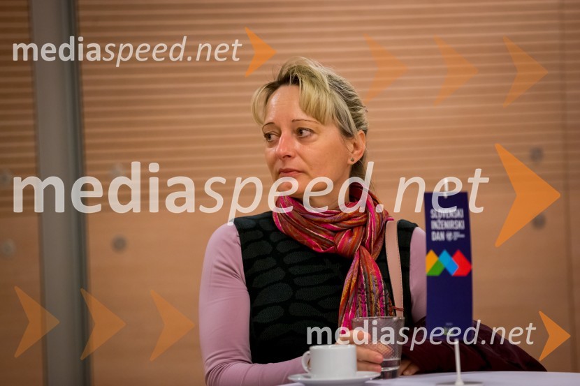 Slovenski inženirski dan