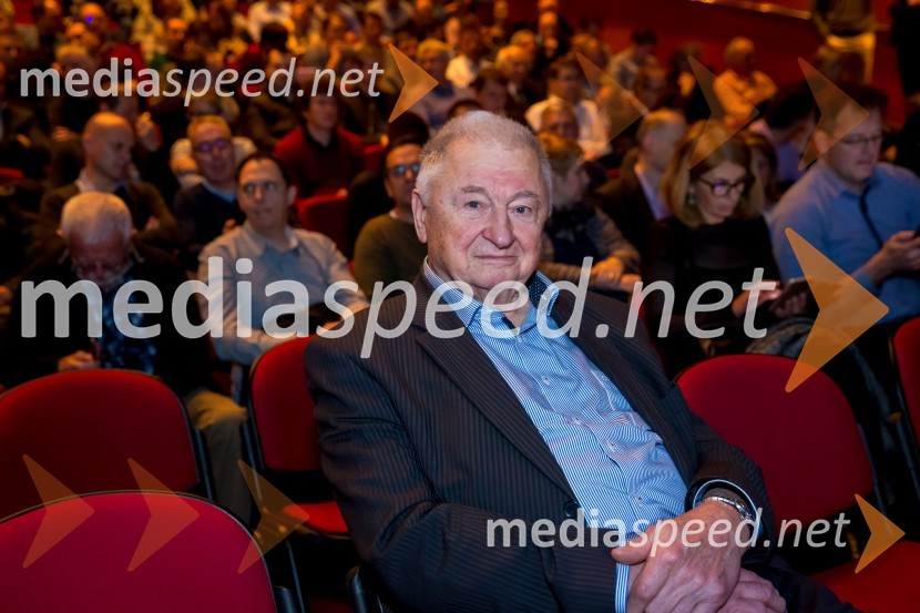 Slovenski inženirski dan