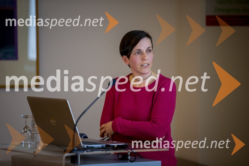 Slovenski inženirski dan