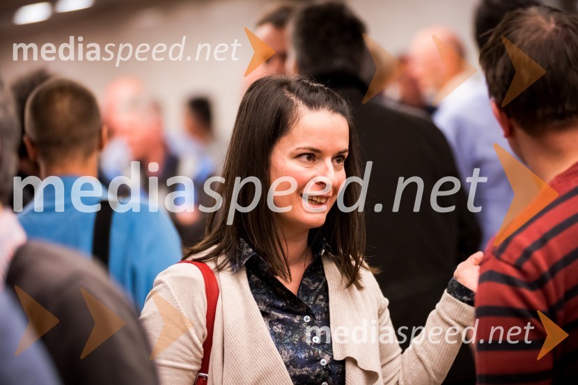 Slovenski inženirski dan