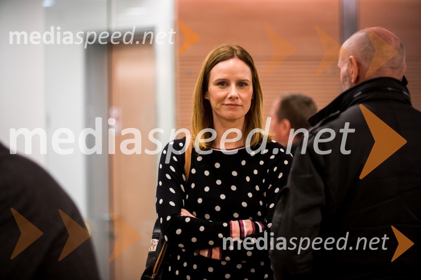 Slovenski inženirski dan